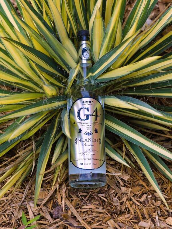 Discover the bold intensity of G4 Blanco Tequila 108 — a high-proof, additive-free tequila crafted from 100% blue Weber agave. Distilled by Felipe Camarena