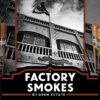 Drew Estate Factory Smokes Maduro cigars offer bold cocoa and spice flavors with smooth construction—an affordable, cigar built for flavor and value.