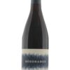 Discover Résonance Willamette Valley Pinot Noir – a premium Oregon red wine offering silky texture, layered red fruit notes, and balanced acidity.